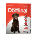 Collar Dominal Perro Grande 15-40 kg