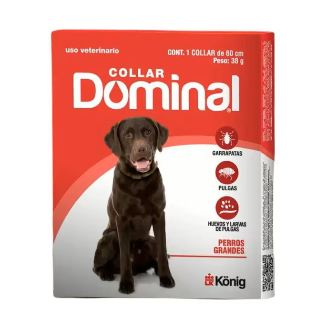 Collar Dominal Perro Grande 15-40 kg